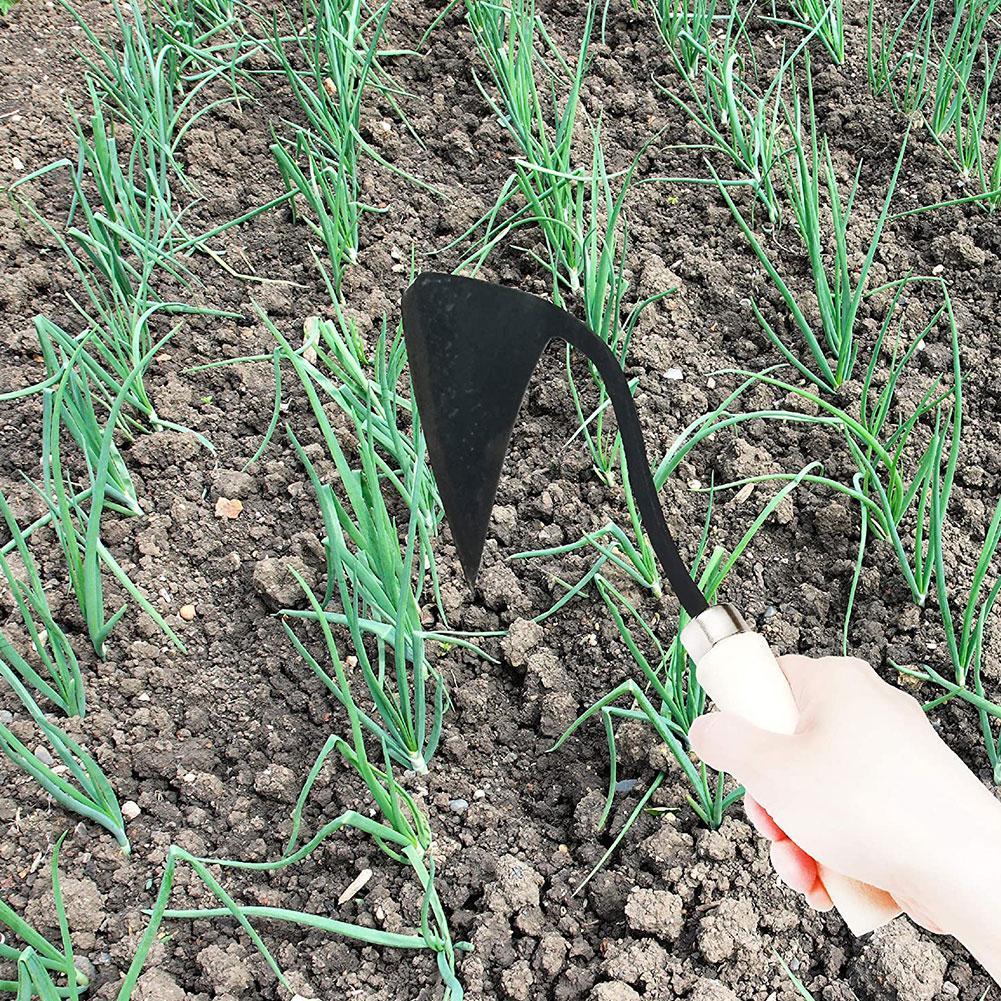 จอบพรวนดินรูปสามเหลี่ยม จอบสำห - Agriculture Farming Vegetables บทวิจารณ์และราคา