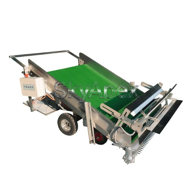 เครื่องจักรกลการเกษตร เครื่องเ - Agriculture Farming Vegetables บทวิจารณ์และราคา
