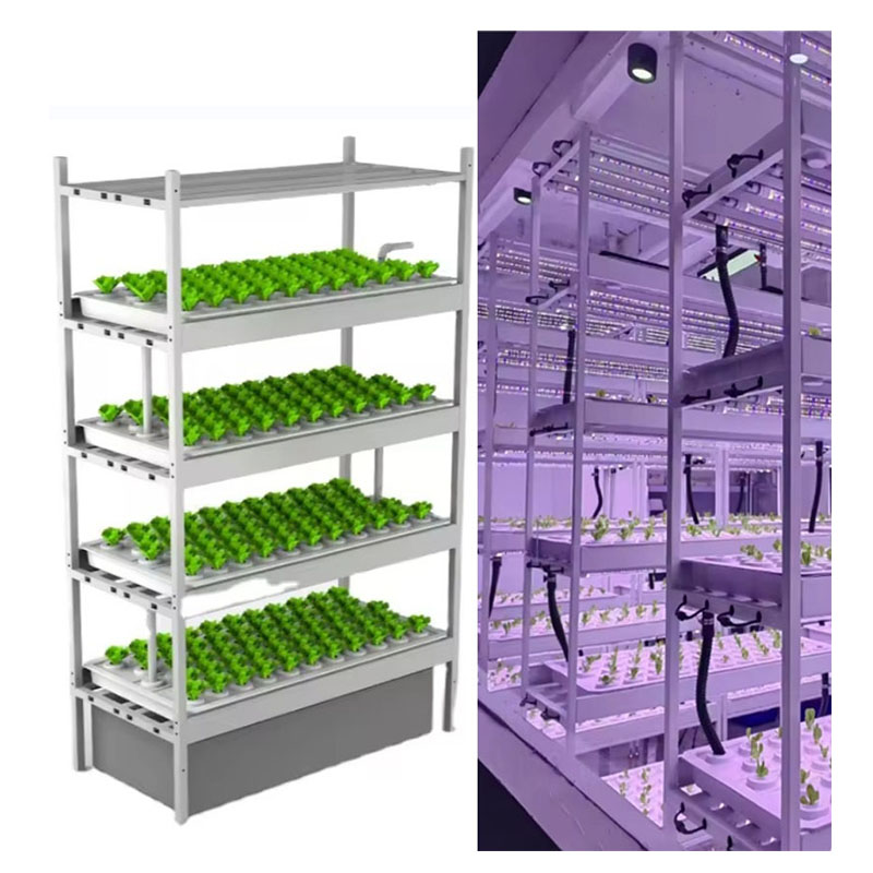 อุปกรณ์การเกษตรในโรงเรือนเพาะเ - Agriculture Farming Vegetables บทวิจารณ์และราคา