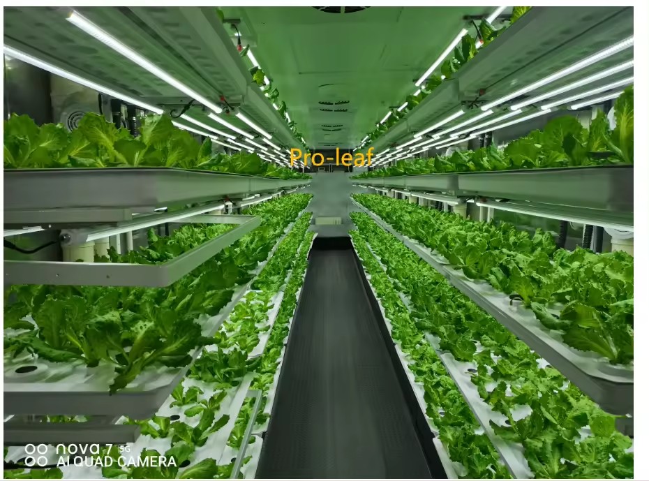 อุปกรณ์การเกษตรในโรงเรือนเพาะเ - Agriculture Farming Vegetables บทวิจารณ์และราคา